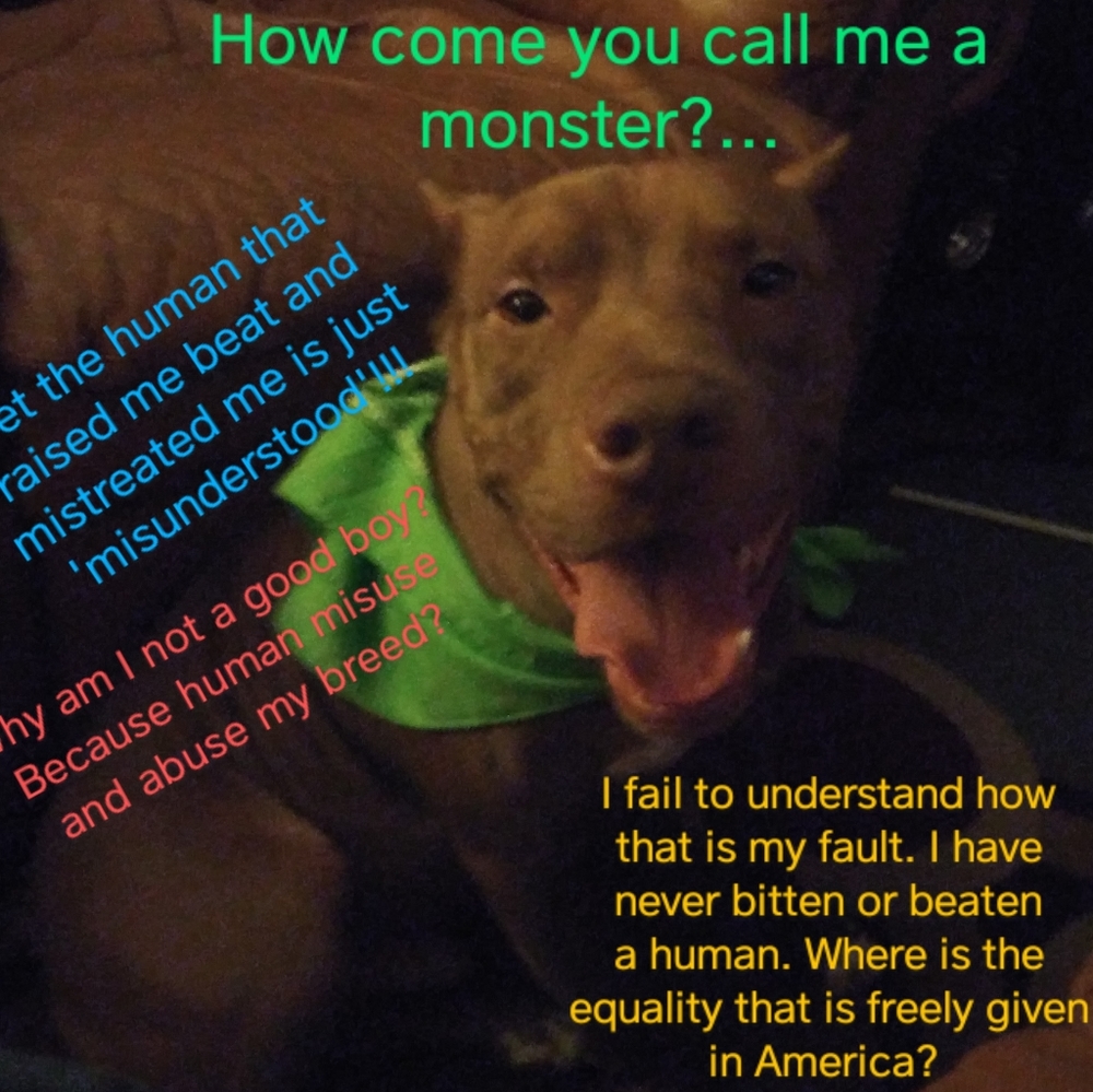 https://paypal.me/pools/c/8qKJ9TTDMn - Picture 2 of 4